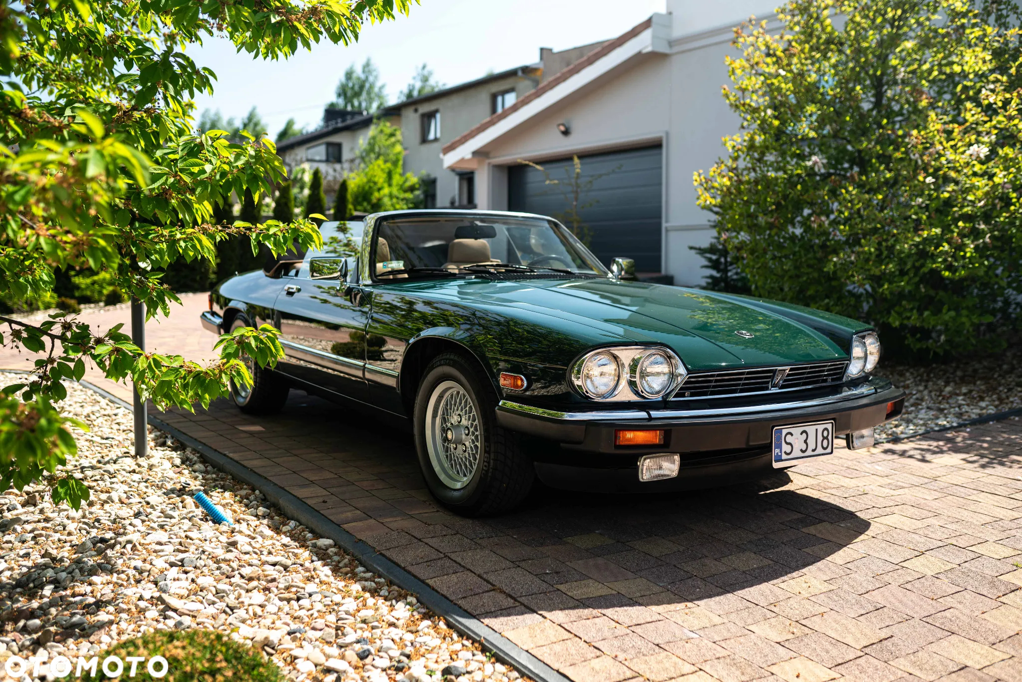 Jaguar XJS - 20