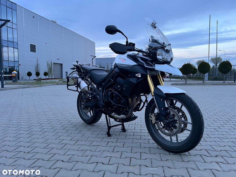 Triumph Tiger - 5