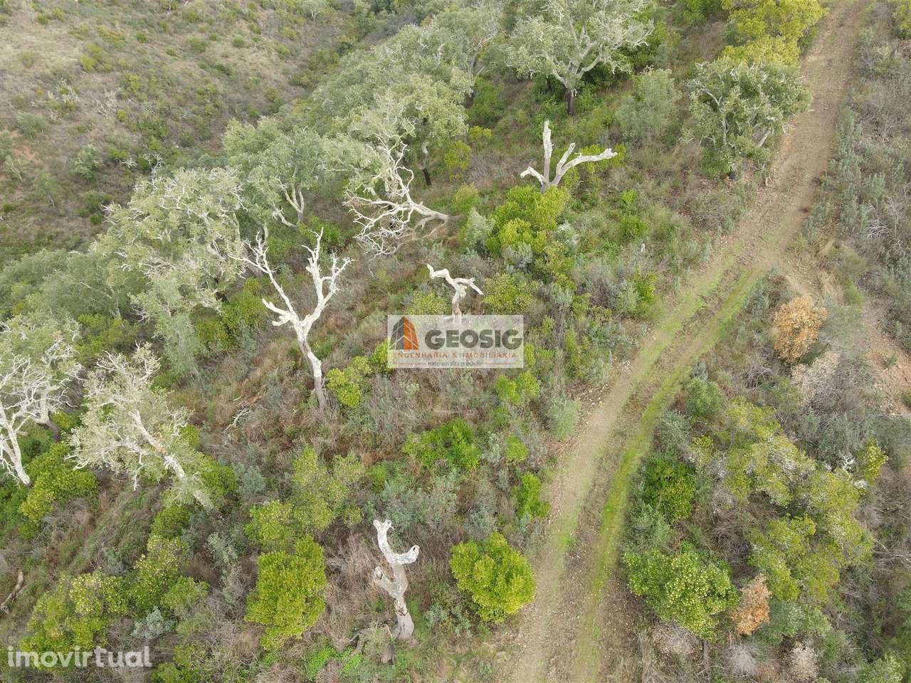 Terreno Rústico  Venda em São Barnabé,Almodôvar - Grande imagem: 3/19