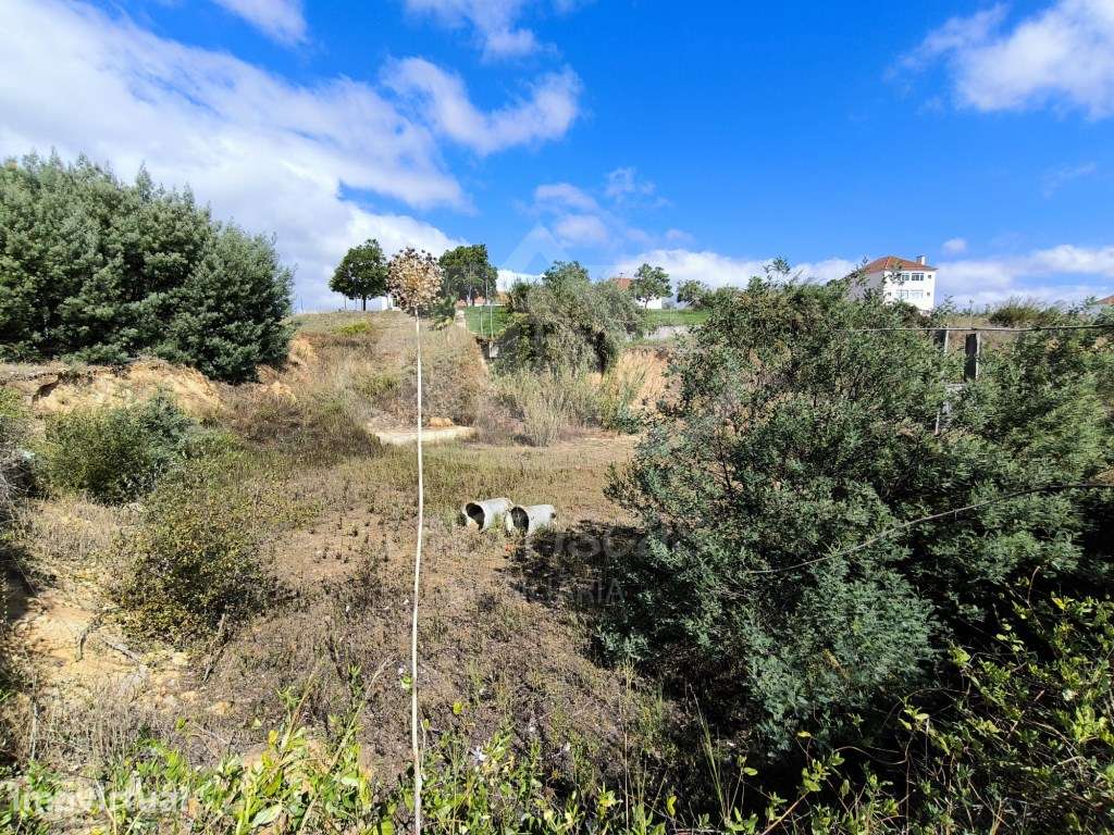 2 Lotes de terreno com projeto aprovado em Santarém. - Grande imagem: 4/20