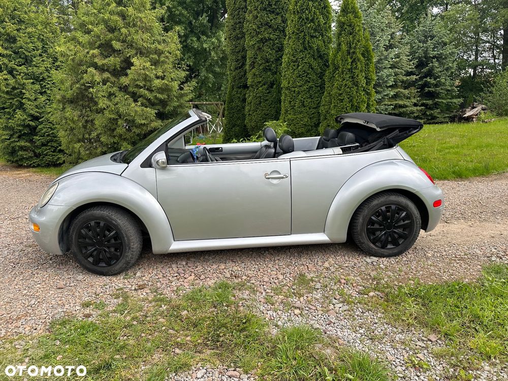 Volkswagen Beetle - 13