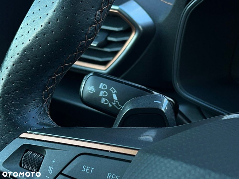 Cupra Formentor 2.0 TSI 4Drive DSG - 25