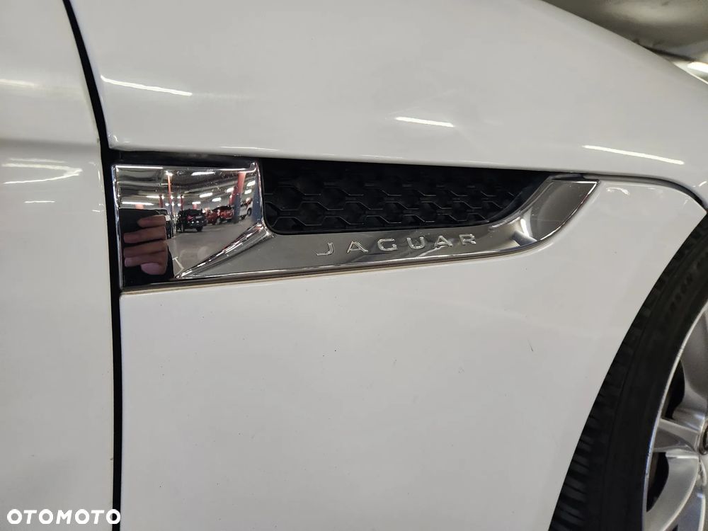 Jaguar F-Type Chequered Flag - 12