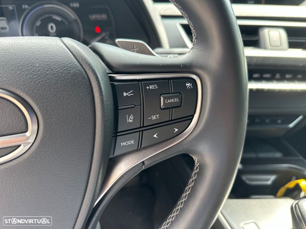Lexus UX 300e Luxury - 17