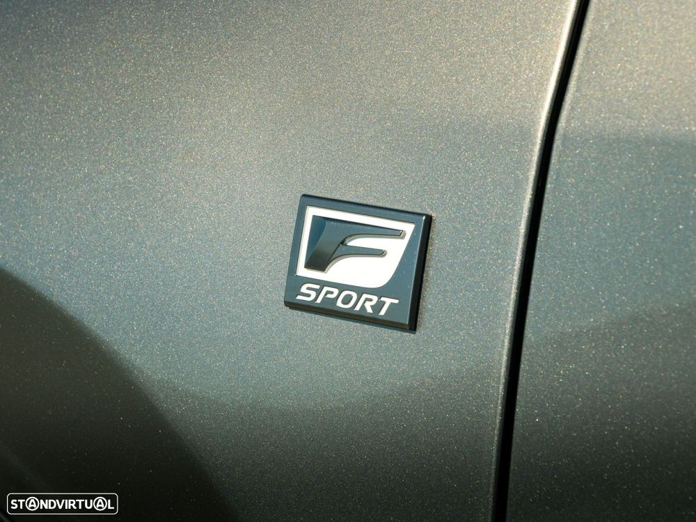 Lexus NX 450h+ F Sport - 25