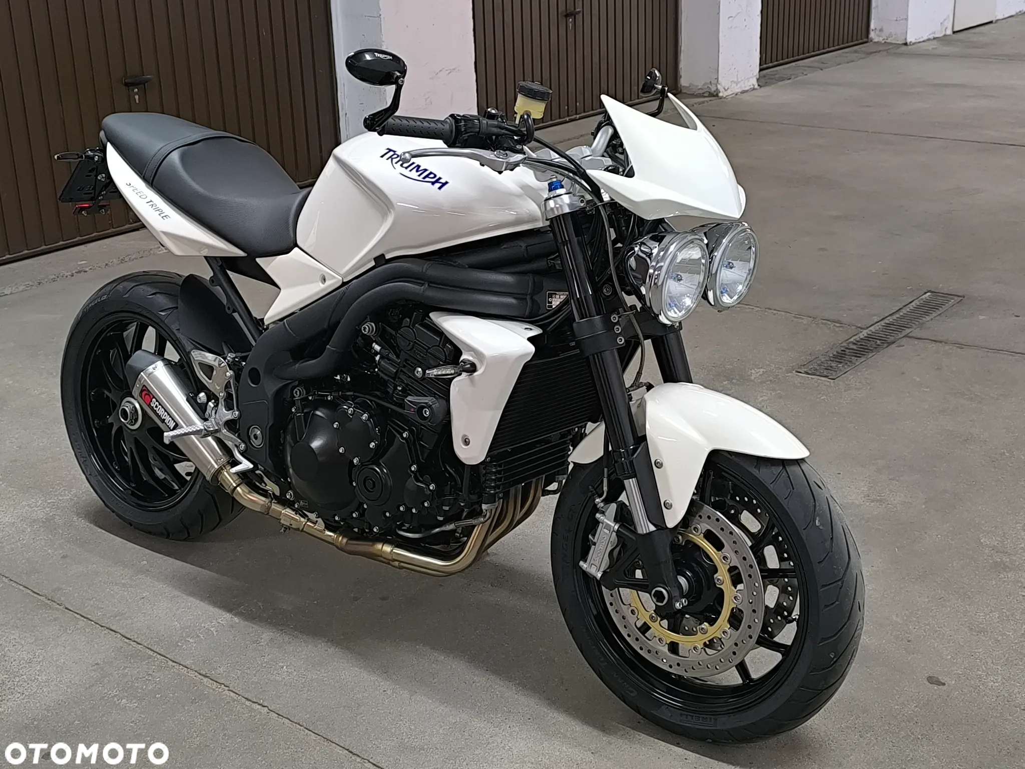 Triumph Speed Triple - 16