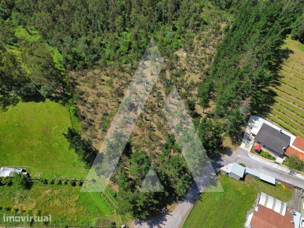Terreno em Serém de Cima - Macinhata do Vouga - Grande imagem: 3/15