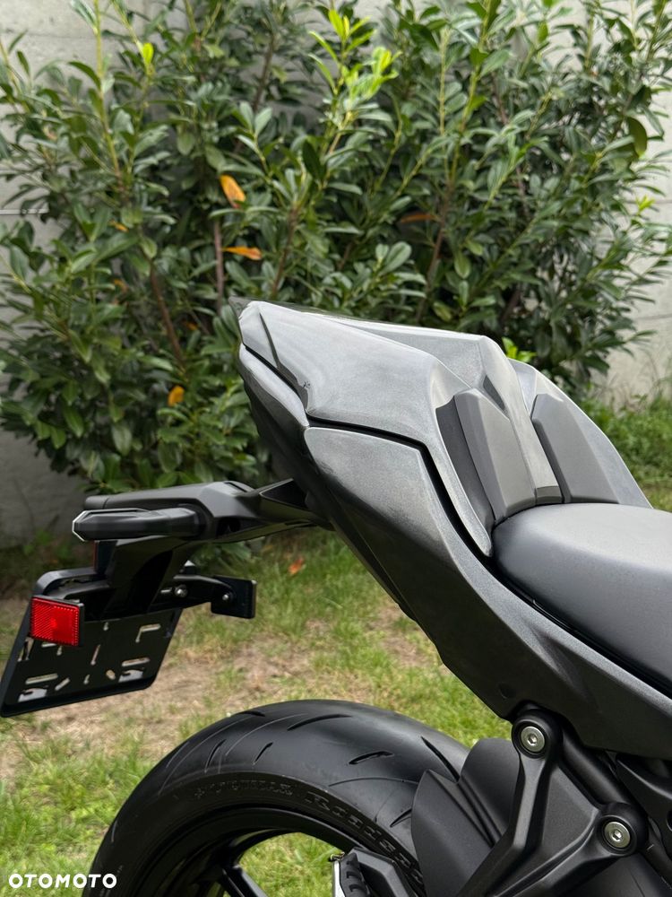 Kawasaki Ninja - 10