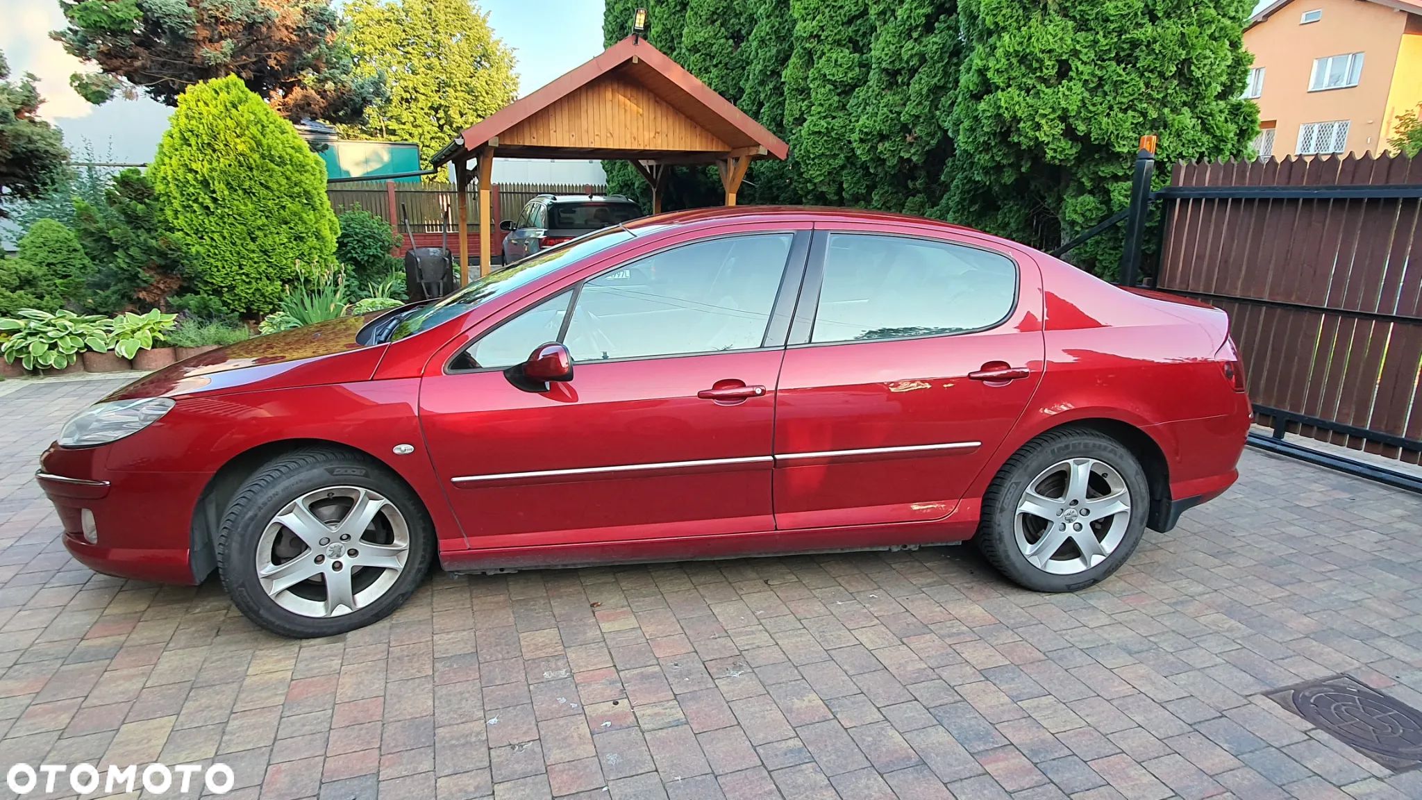 Peugeot 407 - 1