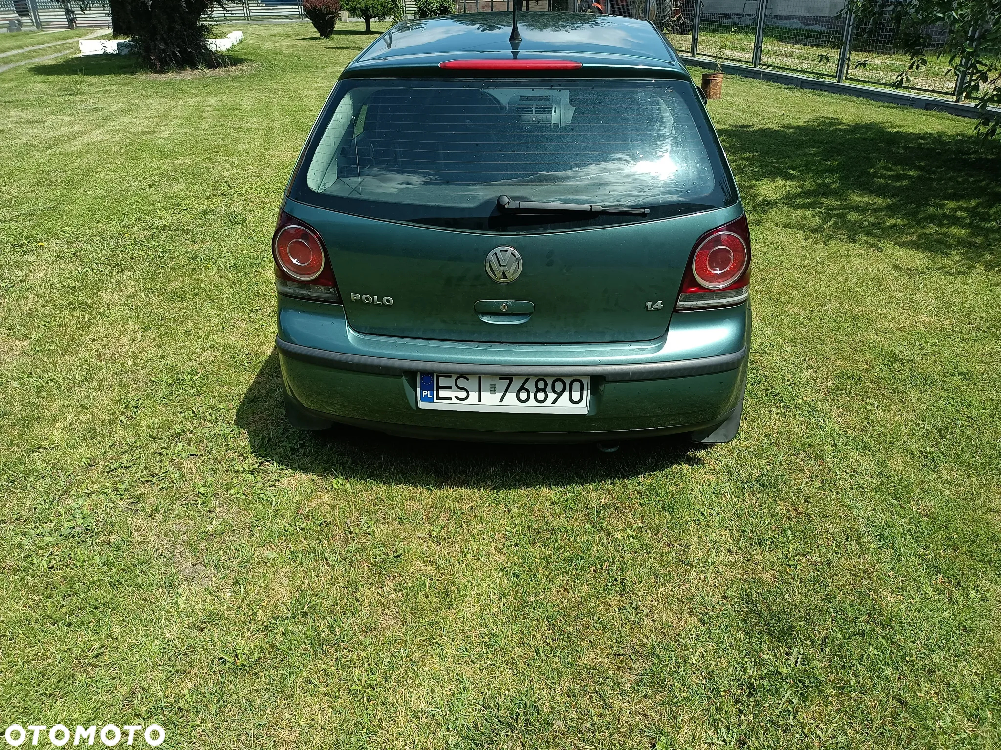Volkswagen Polo - 3