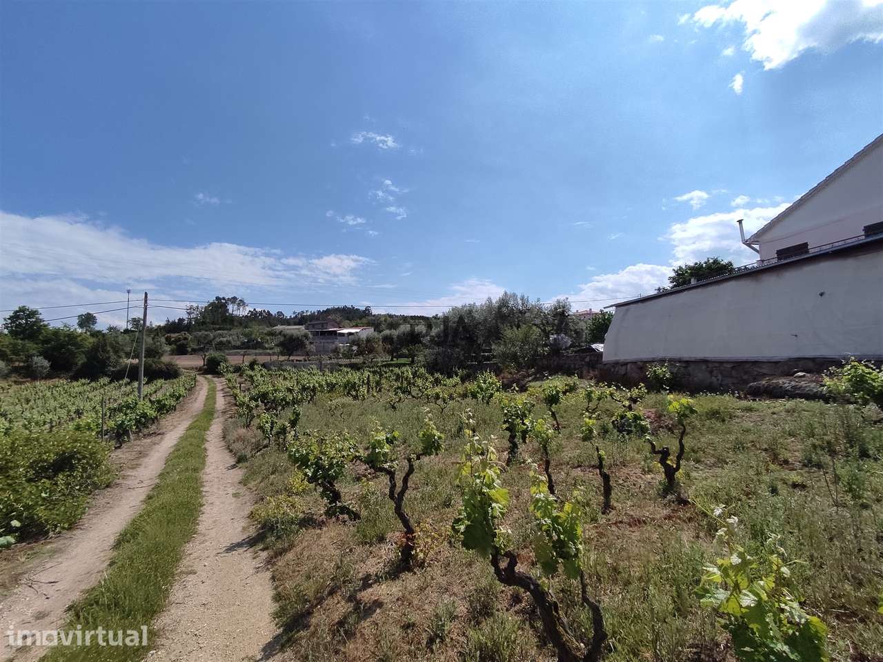Moradia T0 à venda em Sezures, Penalva do Castelo — foto 3