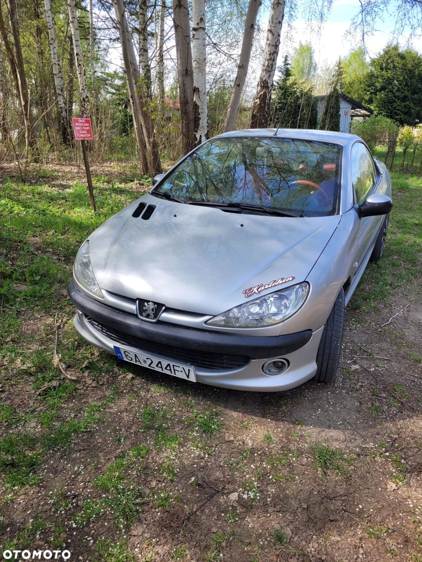 Peugeot 206 2.0 S16 - 1