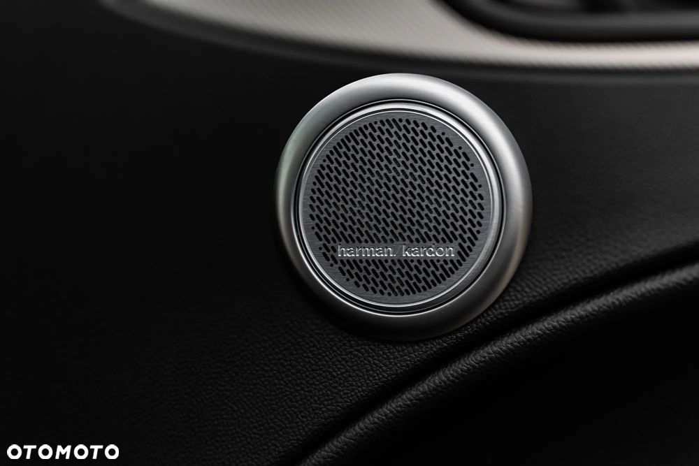 Alfa Romeo Stelvio 2.0 Turbo Veloce Q4 - 18