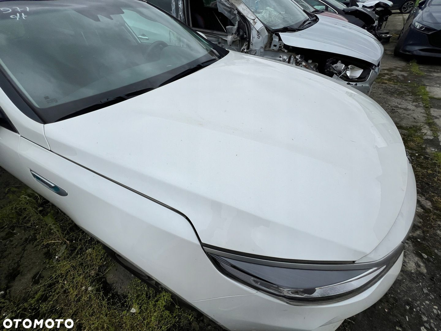 KIA OPTIMA IV KOMBI HYBRID 17-19 MASKA POKRYWA SILNIKA KOLOR SWP - 2
