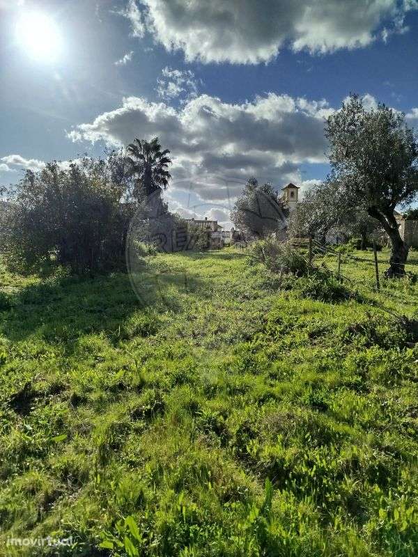 Terreno  para venda - Grande imagem: 5/11