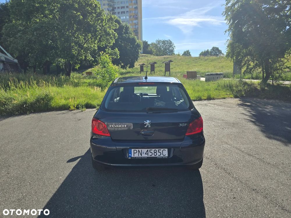 Peugeot 307 1.6 Oxygo - 6