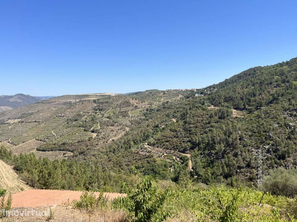 Terreno em Armamar, Vila Seca - Grande imagem: 3/9