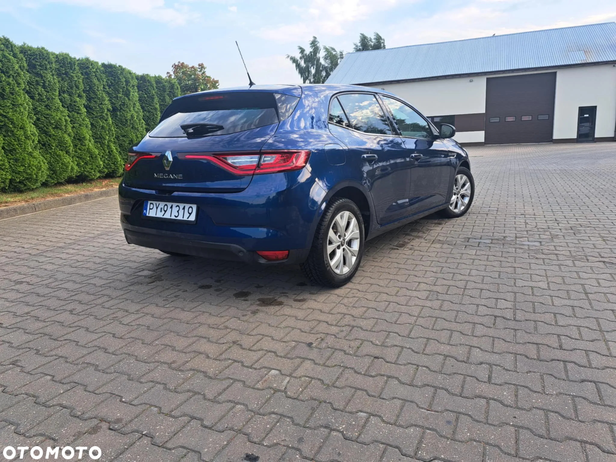 Renault Megane 1.2 Energy TCe Limited - 6