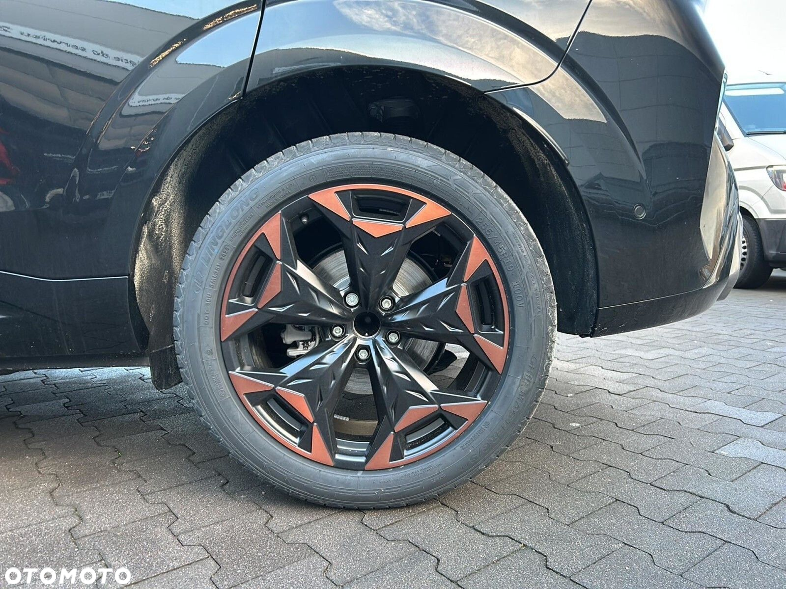 Cupra Terramar - 19