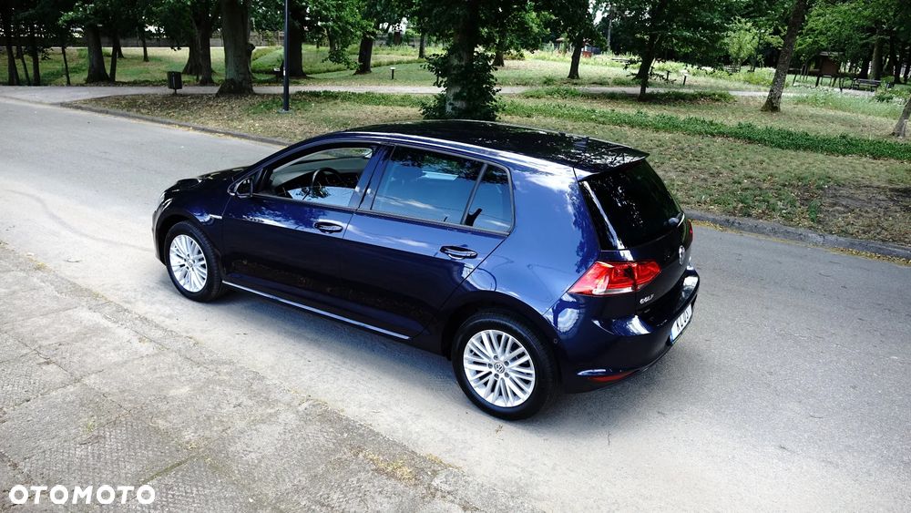 Volkswagen Golf - 29