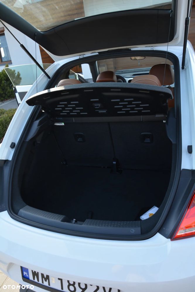 Volkswagen Beetle - 26