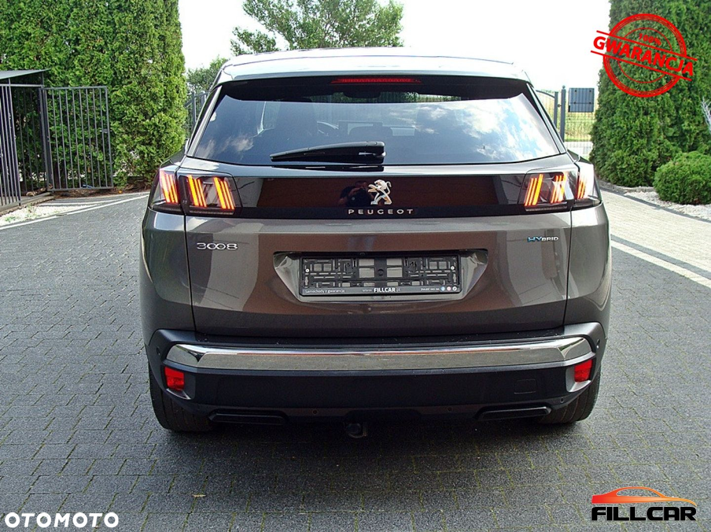 Peugeot 3008 - 6