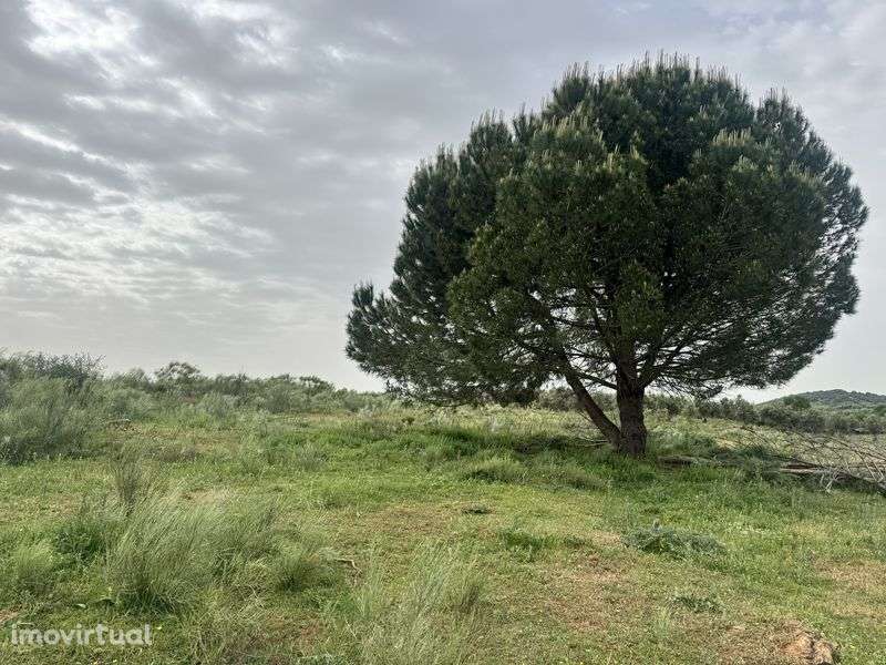 Terreno 36.750m2 - Grande imagem: 2/7