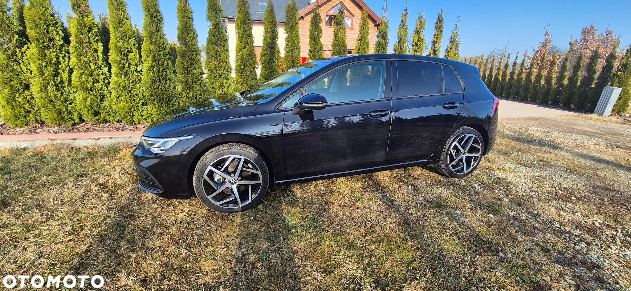 Volkswagen Golf - 8