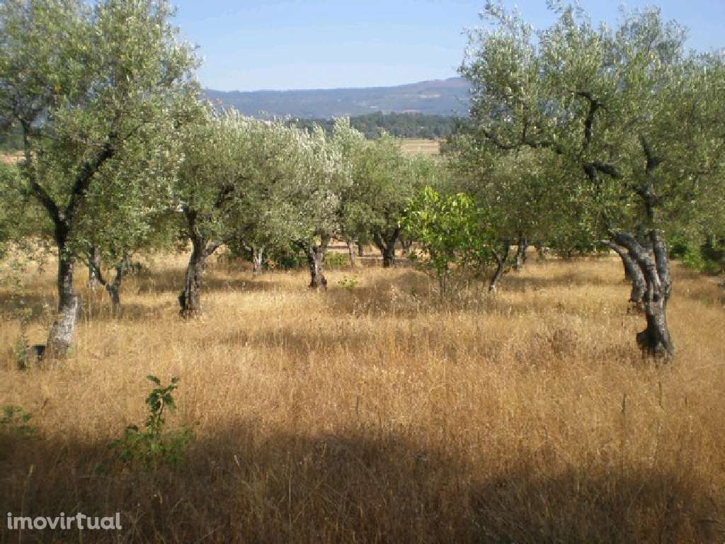 Quinta - Zona do Fundão - Grande imagem: 2/12