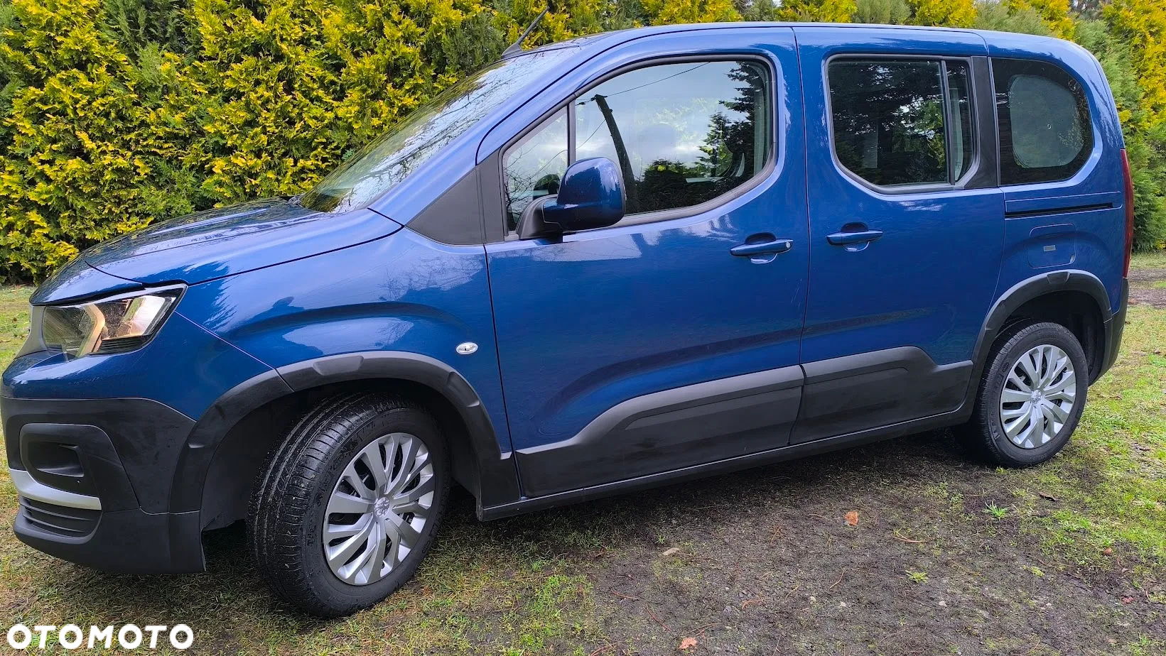 Peugeot Rifter 1.5 BlueHDI Active Pack S&S - 15