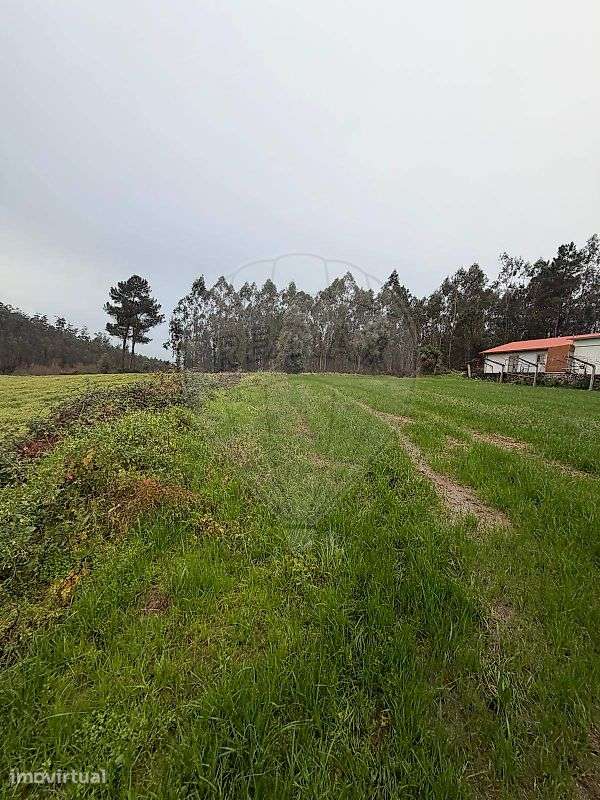Terreno  para venda - Grande imagem: 3/8