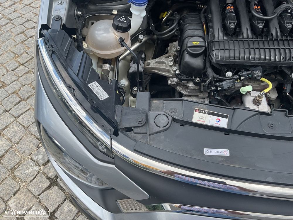 Citroën C3 1.5 BlueHDi C-Series - 38