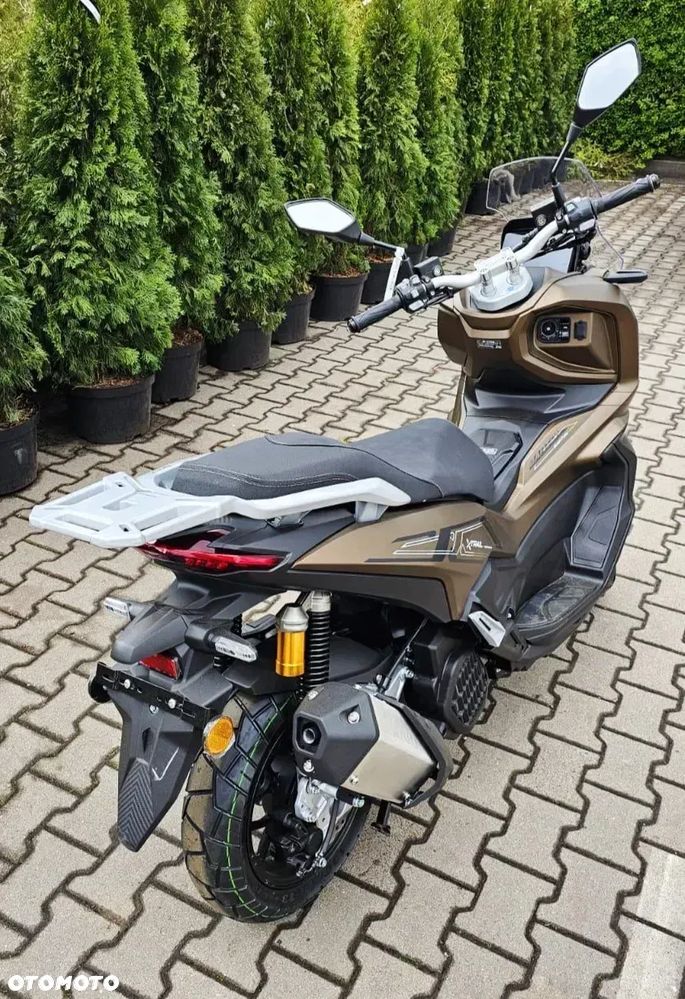 Barton X-Trail - 5