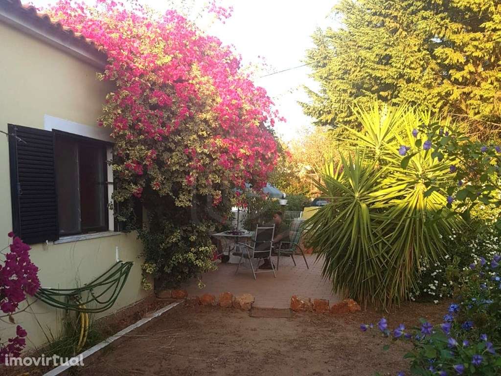 Moradia térrea T3 com jardim e piscina, Almancil, Algarve - Grande imagem: 4/14