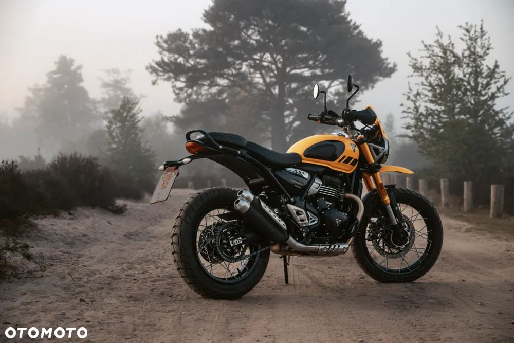 Triumph Scrambler - 24