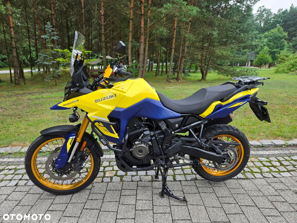 Suzuki DL - 10
