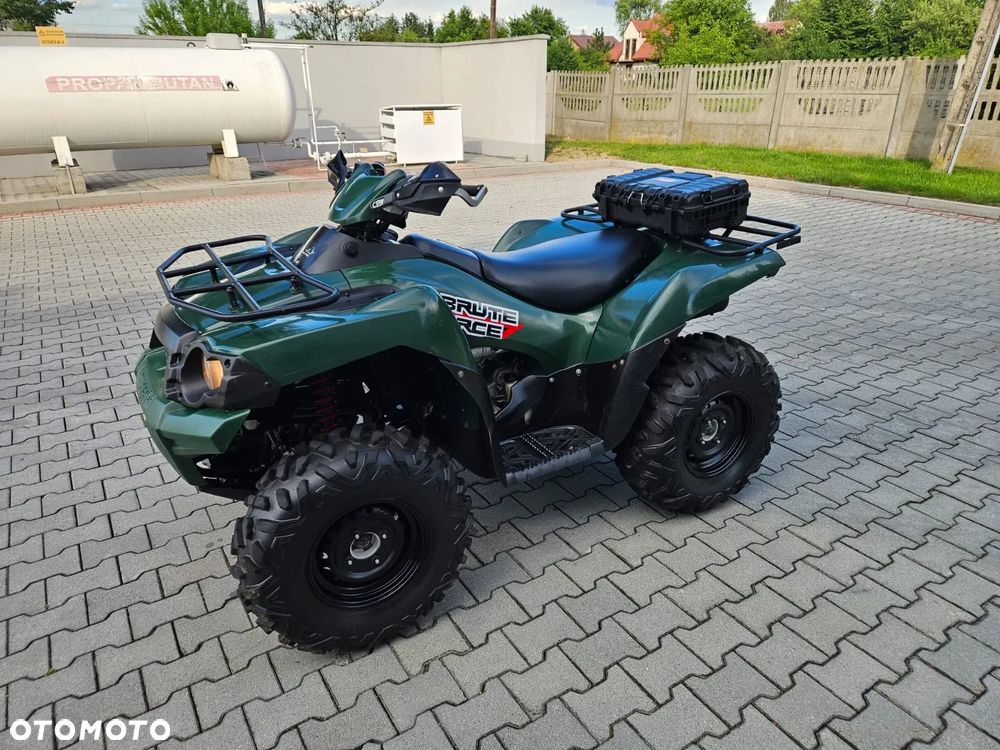 Kawasaki Brute Force - 12