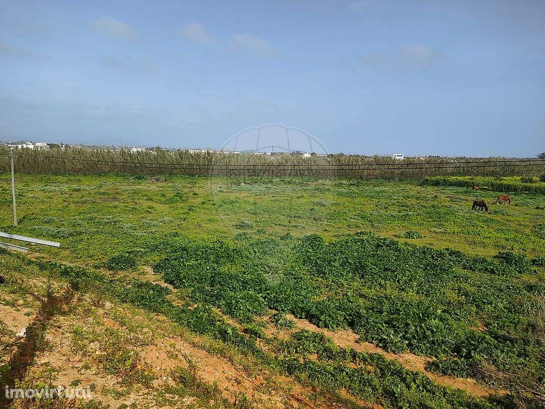 Terreno  para venda - Grande imagem: 3/3