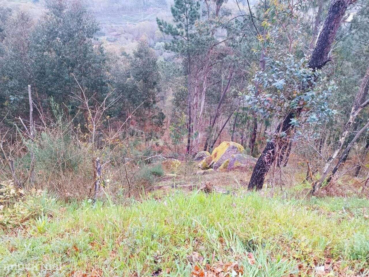 Terreno / Baião, Campelo e Ovil - Grande imagem: 4/8