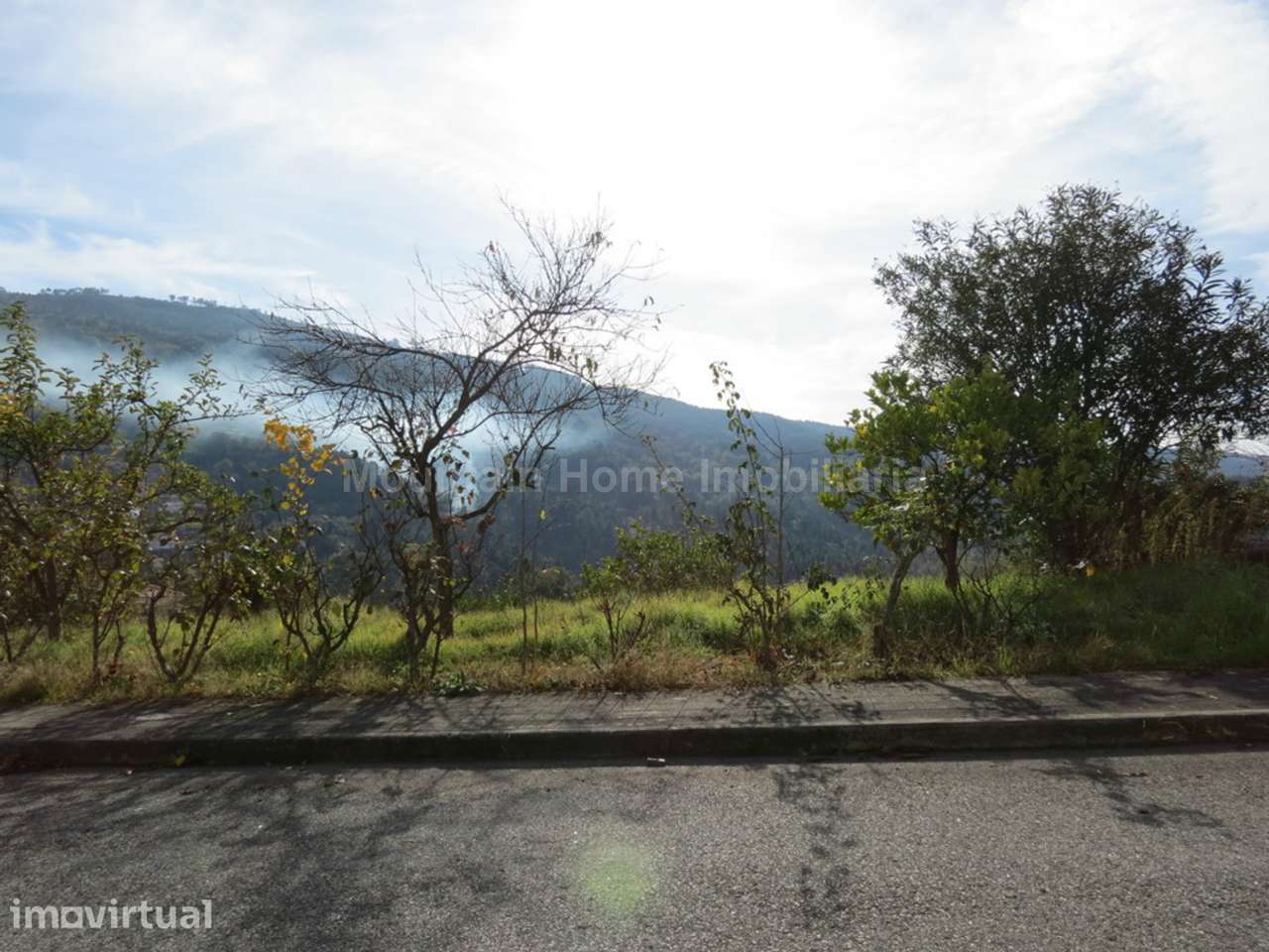 Lote de Terreno  Venda em São Gião,Oliveira do Hospital - Grande imagem: 2/9