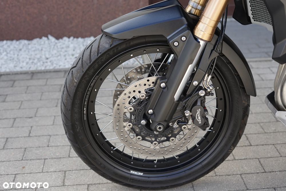 Triumph Tiger - 31