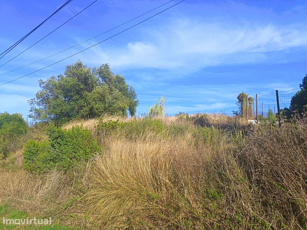 Terreno urbano no campo, 2000 m², Alenquer - Grande imagem: 5/8