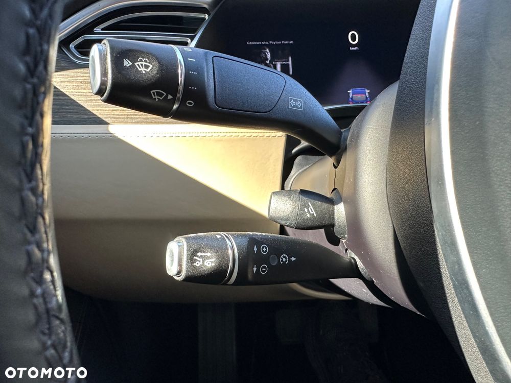 Tesla Model S Performance - 20