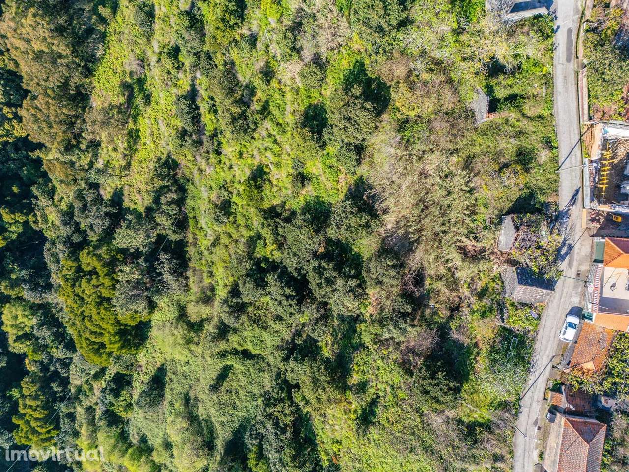 Terreno com Palheiro | Caminho do Lombo do Doutor – Calheta - Grande imagem: 5/21