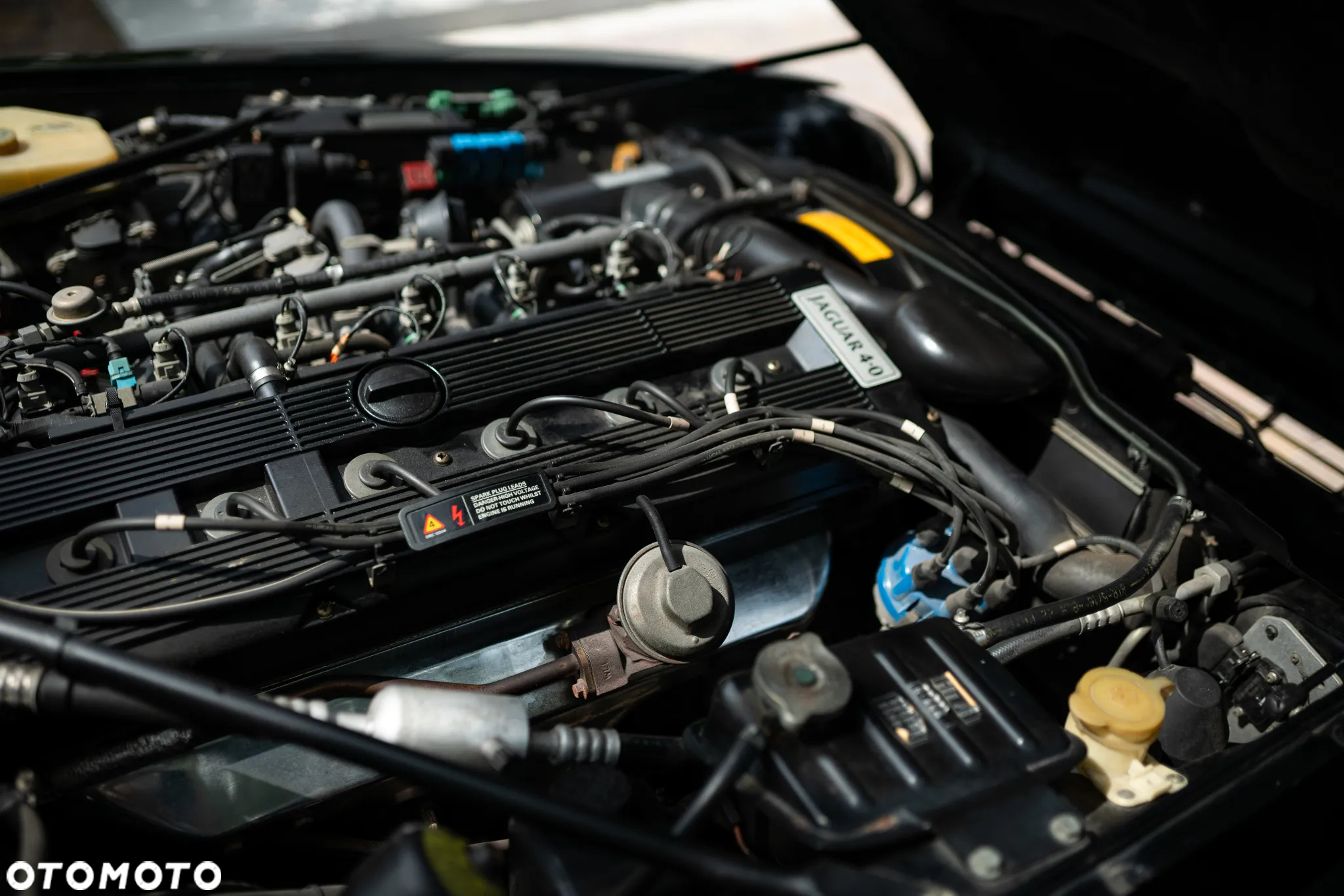 Jaguar XJS 4.0 - 15