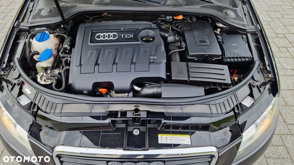 Audi A3 3-drzwiowe 1.6 TDI Attraction - 30