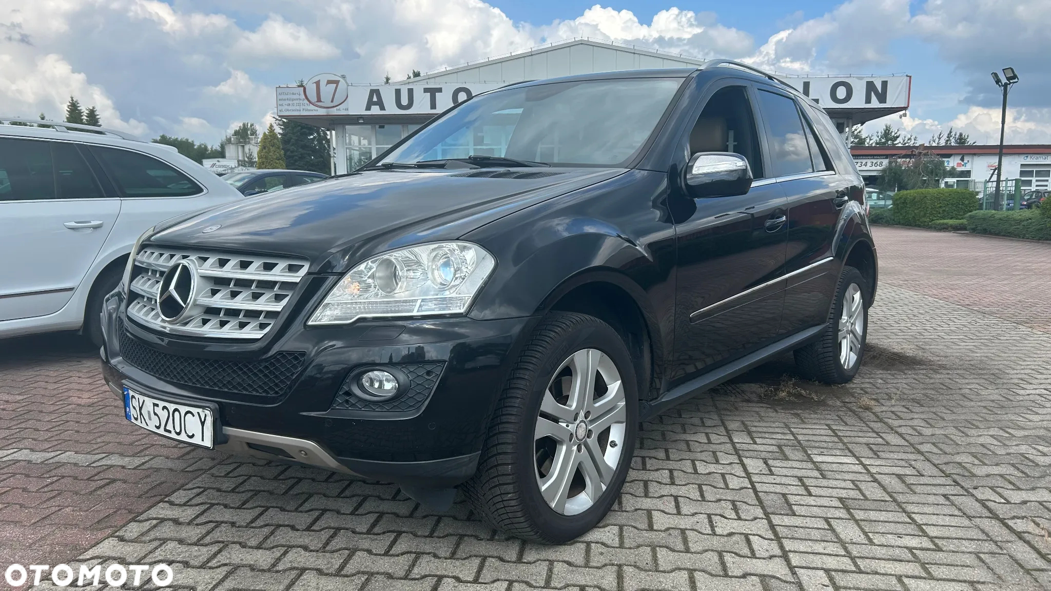 Mercedes-Benz ML 350 CDI 4-Matic - 8