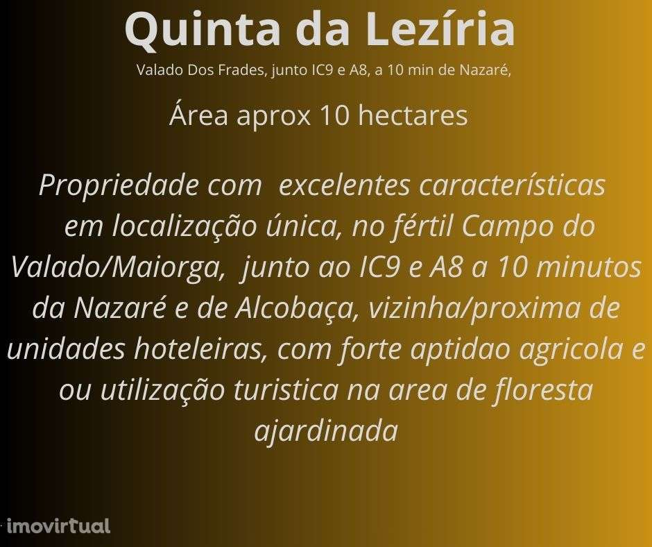 Quinta da Leziria /Quinta do Pinheiro - Grande imagem: 3/6