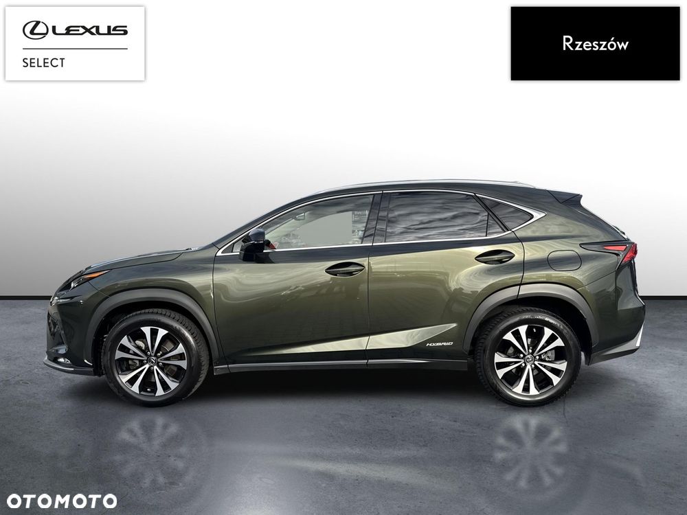 Lexus NX 300h F Impression AWD - 2
