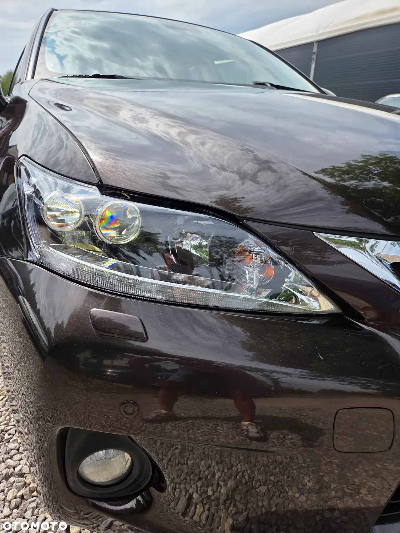 Lexus CT 200h Dynamic Line - 7